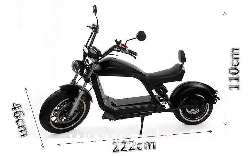 2020 Newest Model Removable Battery Racing E Car Mobility Luqi Electric Scooters with Long Leather Seats
